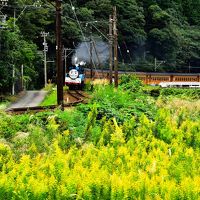 10月連休の静岡弾丸の旅