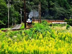 10月連休の静岡弾丸の旅