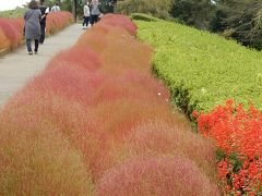 急に秋めいた花の丘公苑