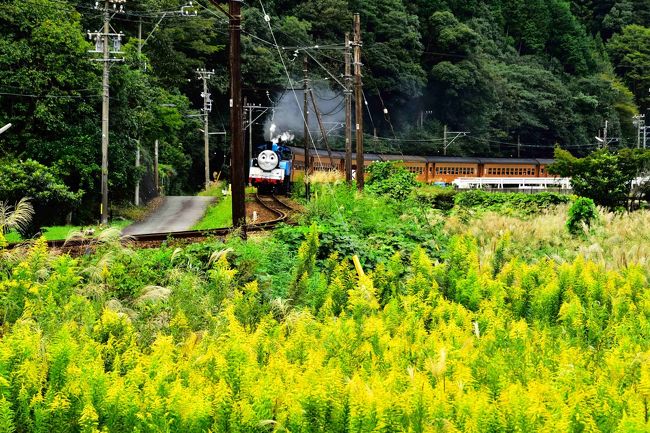 10月の連休に初熱海へ<br />ダイヤモンド富士を見ようと<br />関西を夜中に出ました。<br />が<br /><br />新名神、前の車間距離が解らない位の大雨<br /><br />走行が危ないのでダイヤモンド富士は諦めパーキングで睡眠<br />↓<br />朝食に高足蟹を食べに沼津へ<br />↓<br />達磨パーキングで富士山にやっと出会う。<br />↓<br />熱海迎賓館へ<br />↓<br />芦ノ湖の見える展望台MAZDAスカイラウンジへ。<br />↓<br />トーマスに会いに大井川へ<br />↓<br />夢の吊り橋<br />↓<br />関西夜中到着