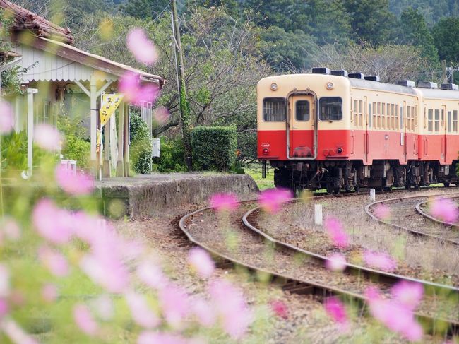 里山に小さな秋がやって来た