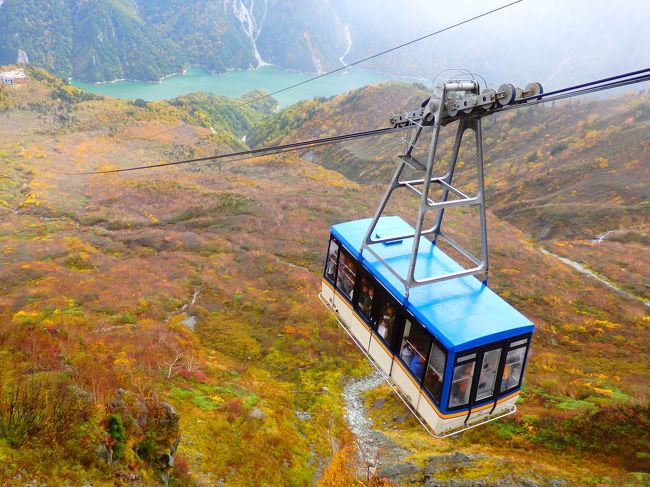 紅葉シーズン、駅でよく目にする立山の紅葉のポスター。その絶景を見てみたいと、ここ数年思っていました。今年こそは！と計画をしたものの、10月３連休は雨の予報…。行くかどうかを直前まで悩みつつ、天気が回復することを願いながら、思い切って出かけてきました。<br /><br />１日目は北陸新幹線で富山へ。新湊へ行き、海の幸を楽しんで、立山へ移動。立山駅近くで宿泊して、2日目に乗り物を乗り継いてアルペンルートを扇沢へ通り抜け。扇沢から新宿行きの高速バスで帰路につきました。<br /><br />２日間とも雨に降られ、アルペンルートの半分は霧で真っ白。室堂は雨だけでなく強風が吹き、嵐に近い天気（泣）<br />ポスターのような大観峰の紅葉は見られなかったけれど、紅葉見頃の黒部平ではお日さまも顔を出し、富山のうまいもんと紅葉をなんとか楽しむことができました。<br />こちらは２日目の記録です。よろしければご覧ください～！