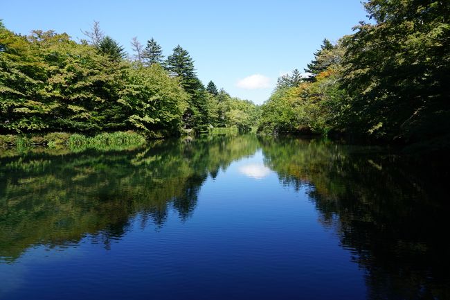 9月 22日(火)、晴れ<br />初秋の軽井沢 - 2日目、中軽井沢、雲場池、マロウド軽井沢でランチ!です。朝、中軽井沢の宿の周りを散策した後、雲場池へ。その後、今日も別のホテル、マロウド軽井沢でランチを楽しみました。<br /><br />表紙の写真は、秋晴れの下、鏡のような湖面に木々と雲が写っている「雲場池」です。綺麗でしょう!正面の雲が湖面に写っている様は、まるで雪を頂いた富士山のようですね。軽井沢で一番、好きな場所です。<br /><br />るるぶフリー軽井沢 http://www.rurubu.com/free/karuizawa.asp<br />いつも軽井沢(ZENRIN) http://itsumo-k.net/<br />軽井沢free http://www.karuizawa-free.com/formmail2.html<br />軽井沢観光協会 http://karuizawa-kankokyokai.jp/<br />軽井沢ホテルブレストンコート http://www.blestoncourt.com/<br />ホテルマロウド軽井沢 http://www.marroad.jp/karuizawa/<br />