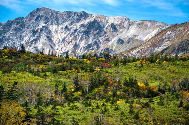 今年も紅葉シーズンが始まった。関東甲信越では、長野県北部の白馬三山中腹の栂池や八方尾根、志賀高原あたりから紅葉がスタートし、例年9月末には見頃を迎える。<br />今回の紅葉撮影行、欲張ってこの三ケ所を全部回ろうと計画。<br />1日目：夜明け前に自宅出発、栂池自然園の紅葉撮影、栂池山荘泊まり<br />2日目：天狗原の紅葉撮影しがてら白馬大池までのトレッキングの後、八方尾根に移動。八方池山荘泊まり。<br />3日目：夜明け前に星景撮影。午前中、紅葉撮影しがてら、八方池までトレッキング、午後志賀高原に移動<br />4日目：志賀高原のあちこちで紅葉撮影<br />ところが、3日目以外はすべて雨、特に1，2日目はバケツをひっくり返したような土砂降り！　計画は絵に描いた餅に終わってしまった。<br />まずは、栂池での紅葉の様子から。