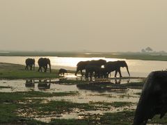 虹のビクトリアの滝とチョベ国立公園でのサファリ