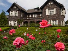 東京・旧古河庭園「秋のバラフェスティバル2016」～秋バラ咲く都電荒川線を訪れて