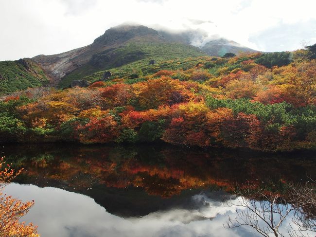 前から行きたかった紅葉の那須岳。人の多さに辟易しましたが、やはり人気の山、箱庭のような景色、流石でした。<br />RW側の斜面は駐車場、前泊しないと確保できないと思ってましたので、裏の沼原に向かったのですが、すでに駐車場満杯で、路肩駐車に相成りました。<br />シーズン真っ只中の山はやはり人いっぱい…。<br />お手軽、紅葉、三連休。<br />三拍子揃ってますもんね。<br /><br />人の多い場所歩くと無性に静かな山を歩きたくなります。<br />雪積もる前にもう一度南アルプスで一泊山行して、命の洗濯したいです。