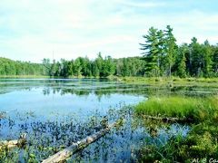 Gatineau Park / Parc de la Gatineau 