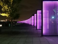 秋の1日　横浜と京浜工場地帯の夜景クルーズ