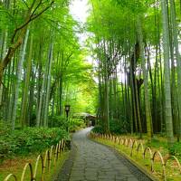 中伊豆旅＠修善寺・天城湯ヶ島