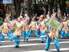 息子のロックライブを聴きに東北大学へ。　よさこい祭りにも感動！