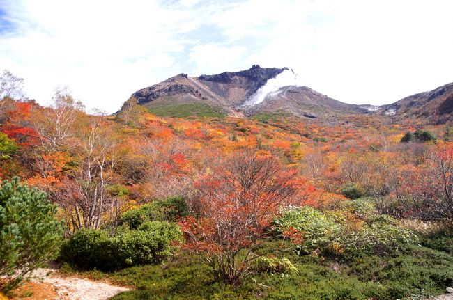 ☆今年も紅葉狩りのスタートは那須岳から。<br /><br />私は福島県民ですが、なんと言っても我が家から一番近くて真っ先に紅葉の見頃を迎えるのが那須岳なんです。<br />もちろん磐梯吾妻や安達太良山も同時期で紅葉も素晴らしいのですが、那須連峰は福島との県境の山なので我が家から一般道でも１時間と３ヶ所の中では最短です。<br />紅葉と噴煙上がる茶臼岳のコラボレーションも秀逸で日本が世界に誇れる絶景の一つではないでしょうか。<br />ほぼ毎年のように出かけていますが、同じ紅葉でもその時の天気によって様々な表情を見せてくれるので何度出かけてもあきることはありません。<br />今年の紅葉の見頃は今週末（１０/１５、１６）くらいまでしょうか（山頂周辺）。<br />２年前より２週間遅く、昨年より１０日ほど遅い見頃になりました。<br /><br /><br />ちなみに、私が出かけた１０/１１の時点で紅葉が見頃なのは那須ロープウェイより上の地域で山麓駅より下はほとんど紅葉していません。お出かけの方は最新情報をご確認ください。<br /><br />※那須観光協会<br />http://www.nasukogen.org/<br /><br />※那須ロープウェイ<br />http://toya108.jp/nrw/<br /><br /><br /><br />※只今工事中ですが、那須岳は今が紅葉の一番の見頃です。<br />今終末（１０/１５，１６）お出かけ予定の参考になればと、取り急ぎ写真だけ紹介します。<br /><br /><br /><br />