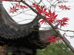 20161013 紹興 フラフラ歩いていたら、いつの間にか… 塔山公園 → 青藤書屋 → 倉橋直街 → 府山。 また、咸亨酒店で晩酌