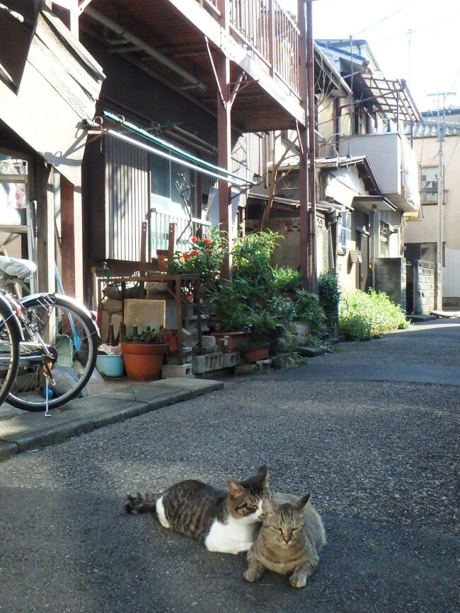 べつに、北千住に住んでいるわけではないので・・