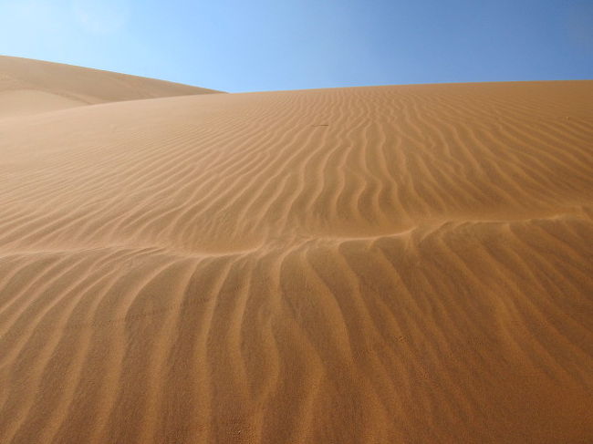 ナミビア共和国は国土は日本の2.2倍、人口は250万人。人口密度が最も少ない国でしょう。<br />大半が砂漠です。<br />ナミブ砂漠は世界で最も美しい砂漠と言われています。砂の色が赤いので映えます。<br />そのほか原住民の裸で暮らすヒンバ族の集落も興味がわきます。<br />エトーシャ国立公園は九州から鹿児島県を除いたくらいの広大な平らな草原です。<br />沢山の動物が生息しています。