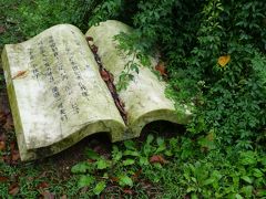 20161015-1 紹興 雨上がり…きってはいまへんが、ちょっと散歩に。羅門公園とか