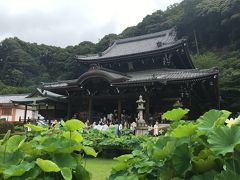 そうだ&#8252;️京都へ行こう&#128644;梅雨のおかんと２人旅【宇治・伏見編】