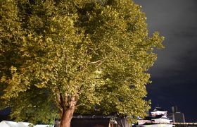 ★ビートラム・ミュージック・フェスティバル 2016 TOURその３ ビートラム篇★