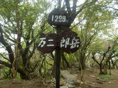 天城山登山　アマギシャクナゲを求め