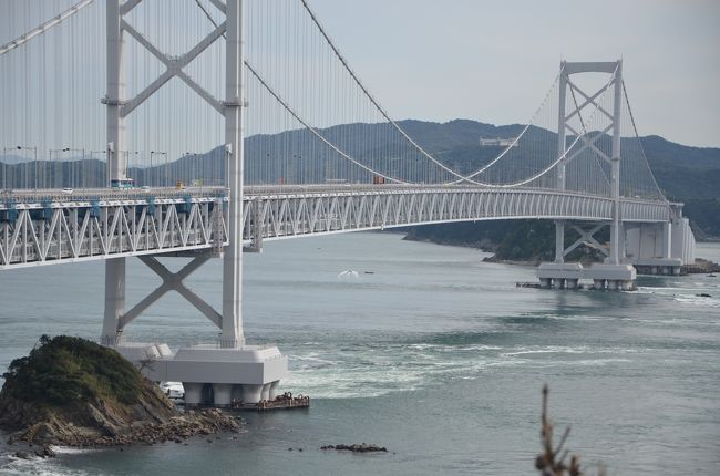 徳島の鳴門の旅の続きです。<br />　「大塚国際美術館」を見学後バスを使わず徒歩にて「渦の道」に行って来ました。<br />　美術館からの登り道は、以前行きました京都の貴船から鞍馬寺の「奥の院」への坂道と同様のきつい坂でした。<br />　途中で何度か撮影（休憩の目的）しながら！<br />　「渦の道」は鳴門大橋の途中（４５０ｍ）まで徒歩にて散歩できるようになっています。<br />　丁度表紙の写真の手前側の主塔の少し先まで行けます。<br />　満潮・干潮（朝・夕）時期であれば結構大きな渦が見られます。<br />　今回は少し時間が早いので渦潮より「鳴門大橋」の見学が主体です。<br />　見学後帰路につきますが、高速バス停が、徳島寄りの「高速鳴門口」まで<br />　行かねばなりません。<br />　＊来たとき下車しました「鳴門公園口」は下車専用の為。<br /><br />　「高速鳴門口」までは、路線バスですので１時間に２本しかなく、バス停近くの土産物売り場にて休憩しバス停に向かいました。<br />　＊土産物売り場にて観光バスの運転手と話す機会が有りましたので色々話を聞きました。<br />　　今日は東京よりのツアーで徳島空港着後倉敷の「大原美術館」に行き再度徳島に戻り一泊後「大塚美術館」・「渦の道」見学後徳島空港より東京に帰る結構ハードなツアーとの事でした。<br /><br />　「高速鳴門口」の待合所は１階ですが乗車口は、３階ぐらい上の高速道路脇に有りますので、小型のケーブルカーみたいな乗り物で乗車口に向かいました。<br />　約１５分ぐらい遅れて高速バスが到着し神戸（三ノ宮）に向かい帰宅しました。<br />　<br />　今回の旅行は美術館と鳴門大橋を目標に行きましたが、本来の目的以外に陶板作成会社の社員および観光バス運転手とゆっくり話が聞けて、非常に満足できる旅でした。<br /><br />　次は紅葉の京都に行こうと思っています。<br />