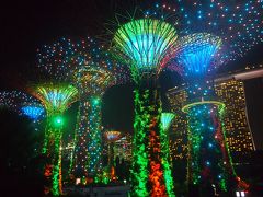 ガーデンズ・バイ・ザ・ベイ　プチ観光ほか