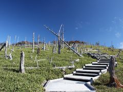 絶景を楽しむ大台ケ原トレッキング