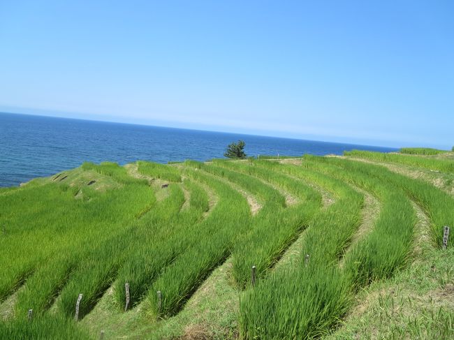 見附島、珠洲揚げ浜塩田、千枚田、能登ワインetc