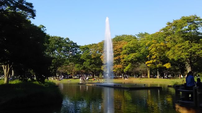 　明治神宮へご朱印をもらいに行きながら、帰りに代々木公園へ寄りました。子連れの方や宴会をしている人や大道芸人など<br />いろいろな人がたくさんいました。小さな子供連れで行ってみたいです。きっと楽しいと思います。