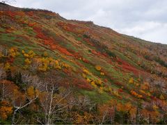 一番早い紅葉を見に北海道へ  2日目前半 朝霧・・・のち 絶景の銀泉台