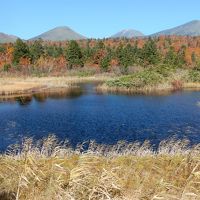 八甲田山の紅葉