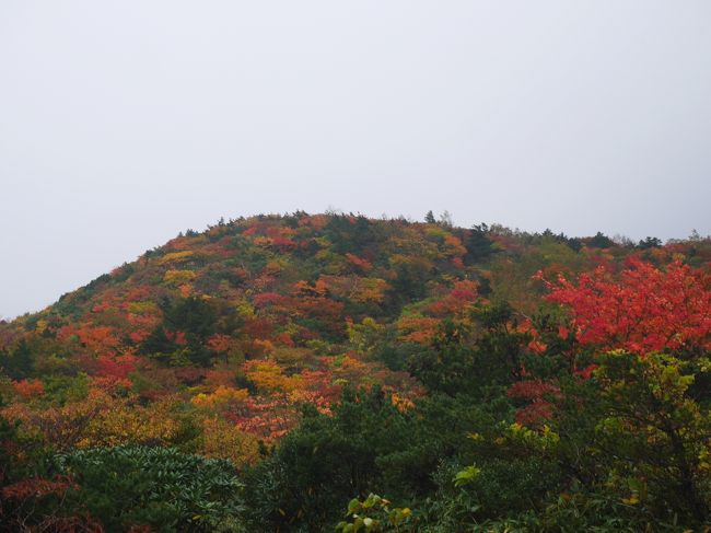 10月の連休を利用して安達太良山の紅葉を見に行きました。今年は気温が高く、紅葉の見頃は遅れているそうです。毎年、10月の3連休はとても混むそうですが、今年はあいにくのお天気でした。