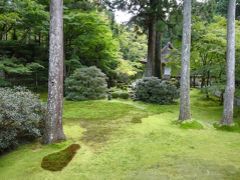 2016.10.16 秋の大原三千院・寂光院