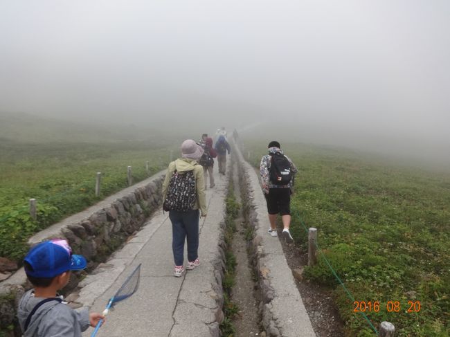 今年の夏の家族旅行は、飛騨高山と上高地。<br />実はこのとき、長男が足をケガしており、自宅から車で行けるところということで、ここになりました。<br />いずれも個人的に一度は行ってみたかったところです。家族にもおおむね好評でした。<br /><br />－－－<br />２日目は宿泊していた高山の朝市をのぞいてから、乗鞍岳の方に向かいました。<br />「山の天気」が何たるかを思い知る結果となりました。