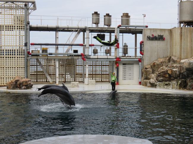 今回京丹後に宿泊して、翌日城崎に向かう日本海の旅、行ってきました<br /><br />工場見学スタートに、やや遅めの出発で、行くところを厳選して、駆け足のドライブの旅＆小野小町の美人の湯堪能してきました<br /><br />翌日は城崎マリンワールドメインに、ユニークでキュートな海獣のショー、楽しみ帰路につきました