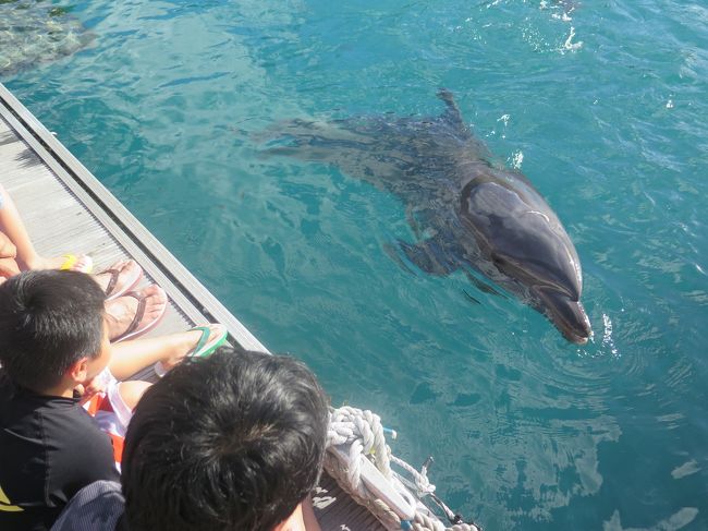 今年の夏休みはジナンクンが産まれてまだ１歳前ということと、微妙にマイルが切れること、<br />プールが大好きな長男がいるので、沖縄に早々決定。<br /><br />が、７月の終わりあたりからちらほらと特典航空券の空き状況を見ていましが、なかなか日程が決められず。<br /><br />１ヶ月が経ち８月の終わりごろ、やっとこさ９月の終わりに行こう～となり、<br />その時に空いていた特典航空券でいい感じに往復取れそうな５日間に決定。<br /><br />9/28 羽田発7:40の那覇行き<br />10/2 那覇発14:20の羽田行き<br /><br />行きは6時台の飛行機も空いていたけどさすがに早すぎる。。。<br />帰りの便がもう１、２本遅いよかったけどな～。<br /><br />と一番遅い飛行機を抑えて当日空きを見て変更する案もあったのだけど、<br />ジナンクンもいるので万が一空きがなかった場合遅い時間に帰るのは～とやめましたが。<br /><br />結局14時台の飛行機で正解。<br />羽田には17時ぐらいだし、ちょうどよかった！<br /><br />ホテルは友達ママや元旅行会社の友人から「子連れにはいいよ！！！」とおすすめされたルネッサンスリゾートオキナワに！<br /><br />ギリギリまでアリビラ日航と迷いましたが、ルネッサンスリゾートオキナワは子連れには本当良かったデス。<br /><br />9/28~9/30 前半<br />10/1~10/2　後半