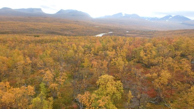 標高1169ｍのニューラ山からアビスコの紅葉・黄葉を見下ろす