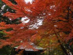 平泉・中尊寺の紅葉が見頃でした～♪（前半）◆2015年11月／岩手県の紅葉＆滝めぐりの旅≪その７≫