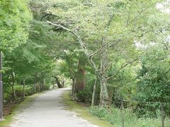 2泊3日京都旅行①「宇治編」