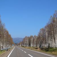 秋の北海道！！食い倒れと見倒れの旅２日目