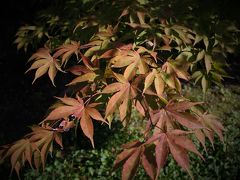 秩父の紅葉はまだまだ先（10月20日）