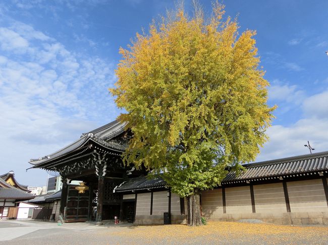 京都（’15 紅葉狩り)