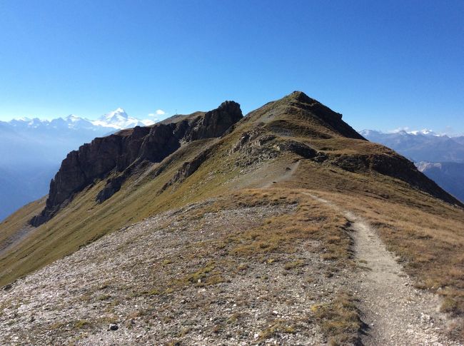 ロイカーバートからロープウェイと１時間２０分程のハイキングで山頂に立てるホーリニ(２４５２m)に登ります。山頂からはローヌ谷を挟んでドーム、ヴァイスホルン、モンブラン等の名峰を眺めることができます。写真中央がホーリニです。