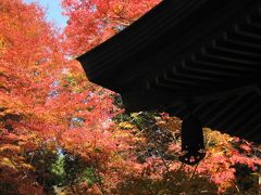 追憶の両子（ふたご）寺　大分県国東（くにさき）半島の紅葉物語