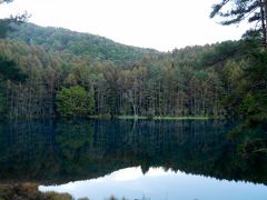 紅葉目前の緑響く，から，王ヶ頭へ。