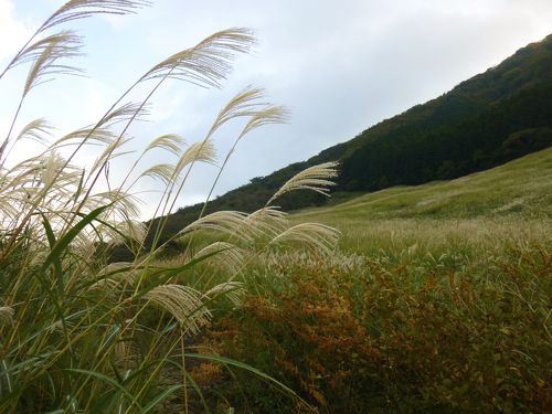 箱根 秋のスイーツが食べたい ついでにススキ野原を散歩 仙石原 神奈川県 の旅行記 ブログ By くうさん フォートラベル