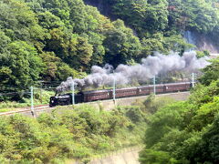 癒しの温泉三昧、やっぱり日本はいいなぁ～♪　その2  諏訪峡のSL列車やラフティング、バンジー・ジャンプも楽しめる水上温泉の魅力