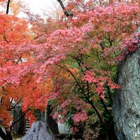 そうだ京都へ行こう…②新幹線で行く紅葉最盛期三泊四日の旅