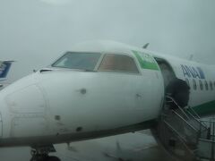 DHC-Q400 に乗りました。ANA1837便，中部から秋田への便。雨で揺れました。