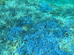 バラス島・鳩間島