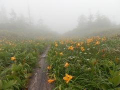 「 夏がくれば　思い出す　はるかな八幡平　遠い空 」